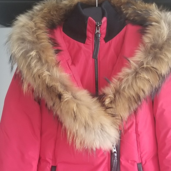 Special edition - Mackage - Picture 1 of 5
